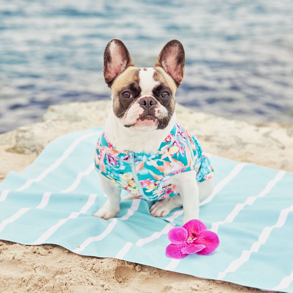 Lightweight Microfibre Green Striped Dog Travel Beach Towel Australia