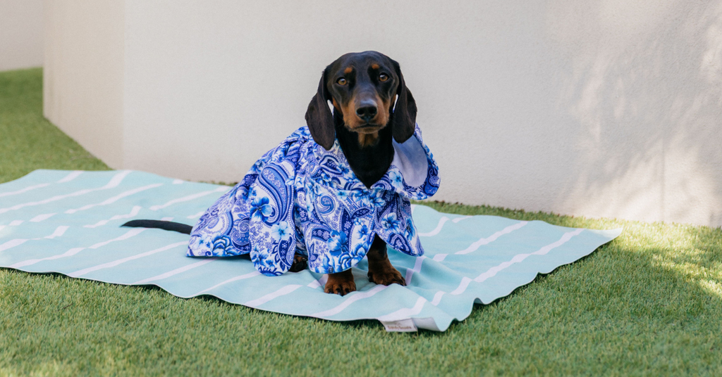 Sandy Snoots Dachshund Poncho Towel Australia