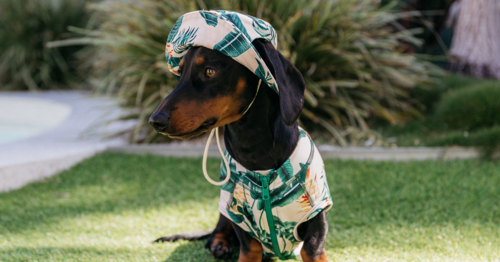 Sandy Snoots Matching UPF 50+ Bucket Hats Australia