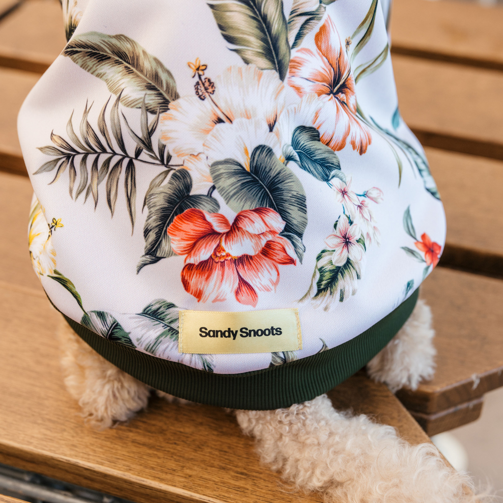 Hawaiian print dog hoodie Australia