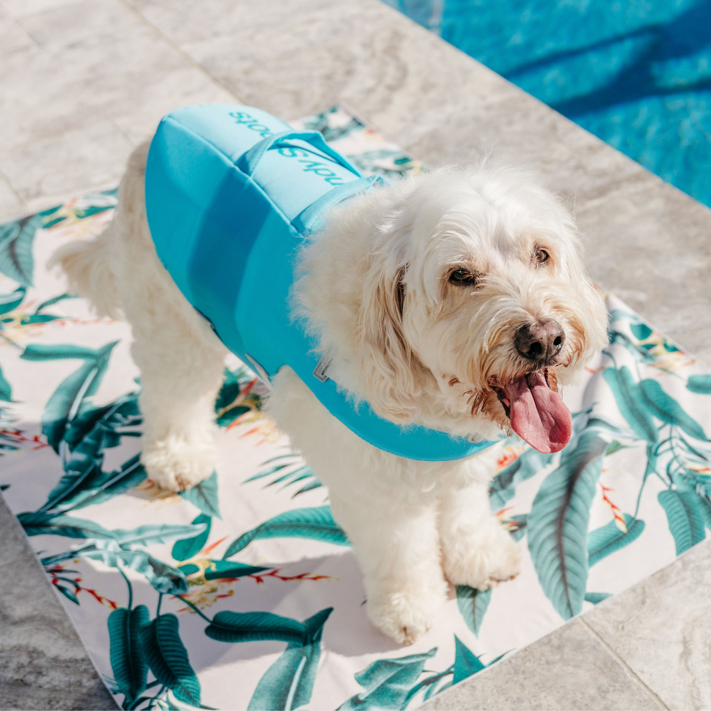 Caribbean Green Dog Life Jacket Australia