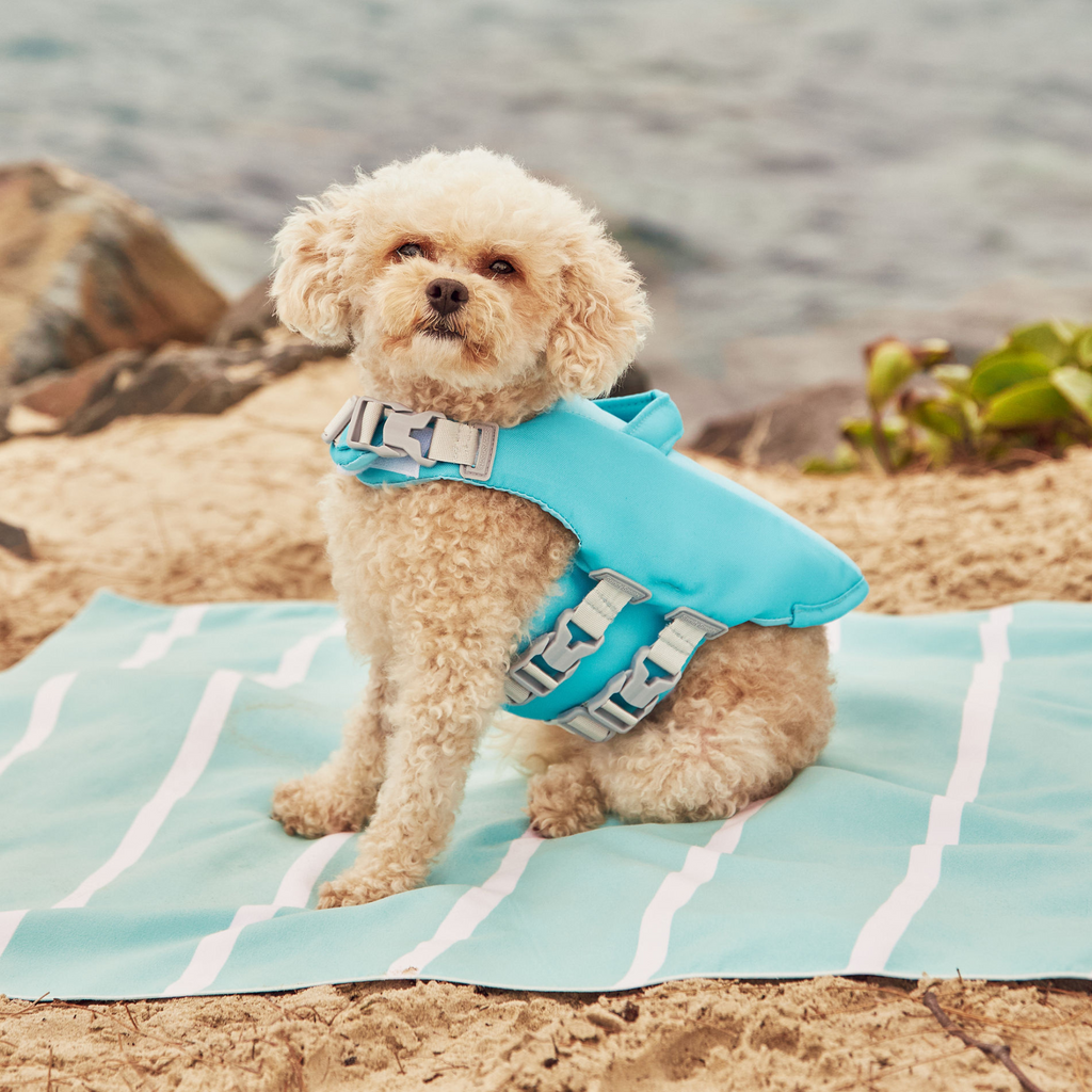 Caribbean Green Dog Life Jacket Australia