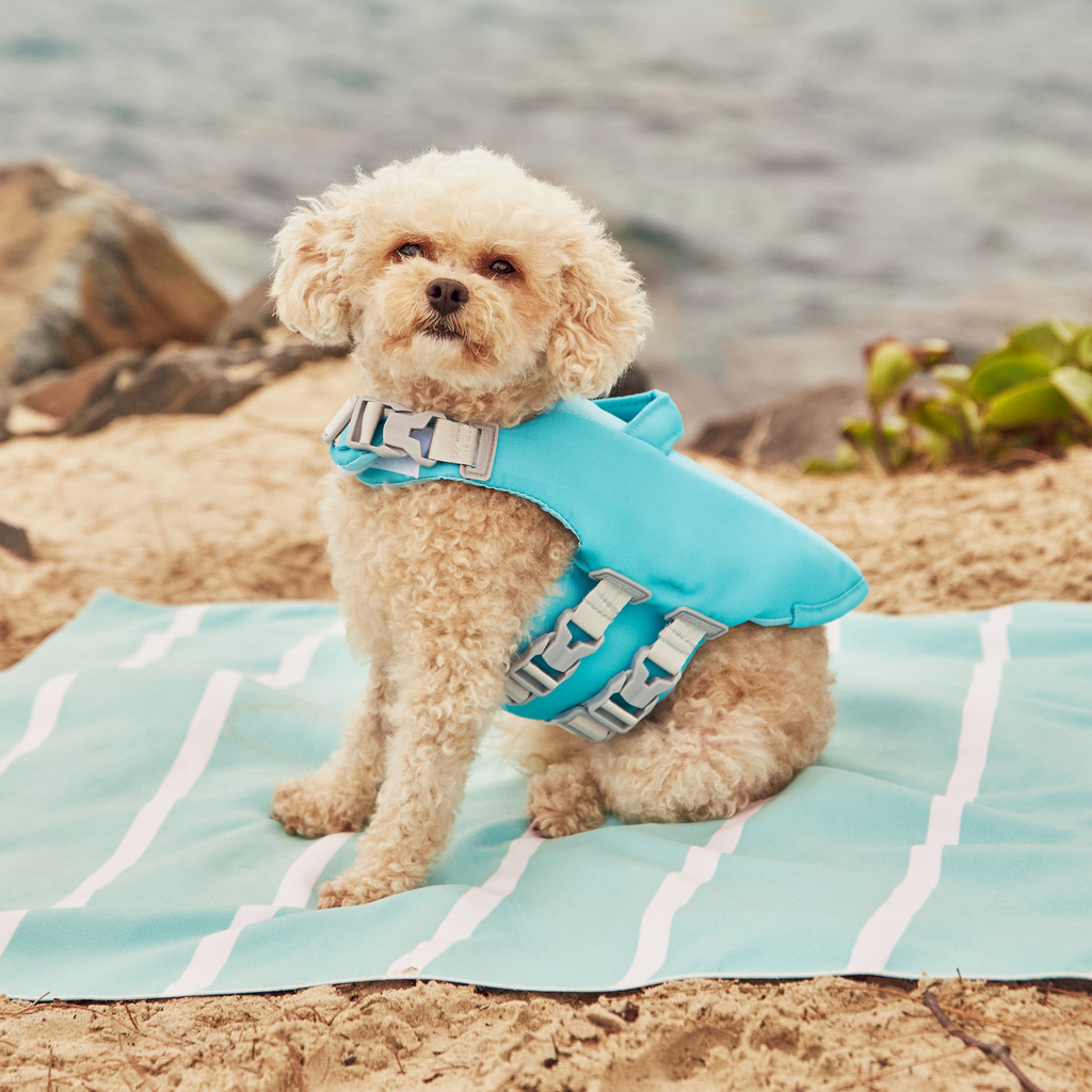 Dog Life Jackets Australia Sandy Snoots