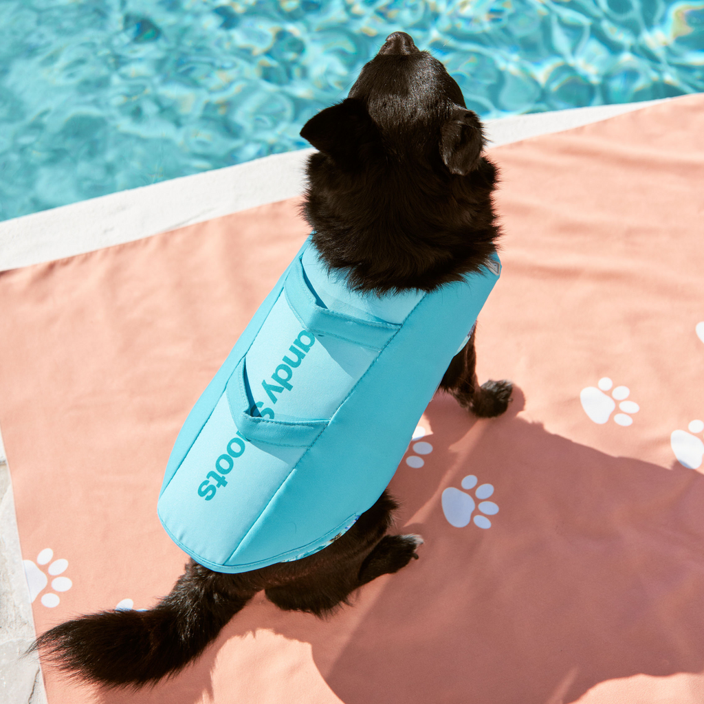 Caribbean Green Dog Life Jacket Australia