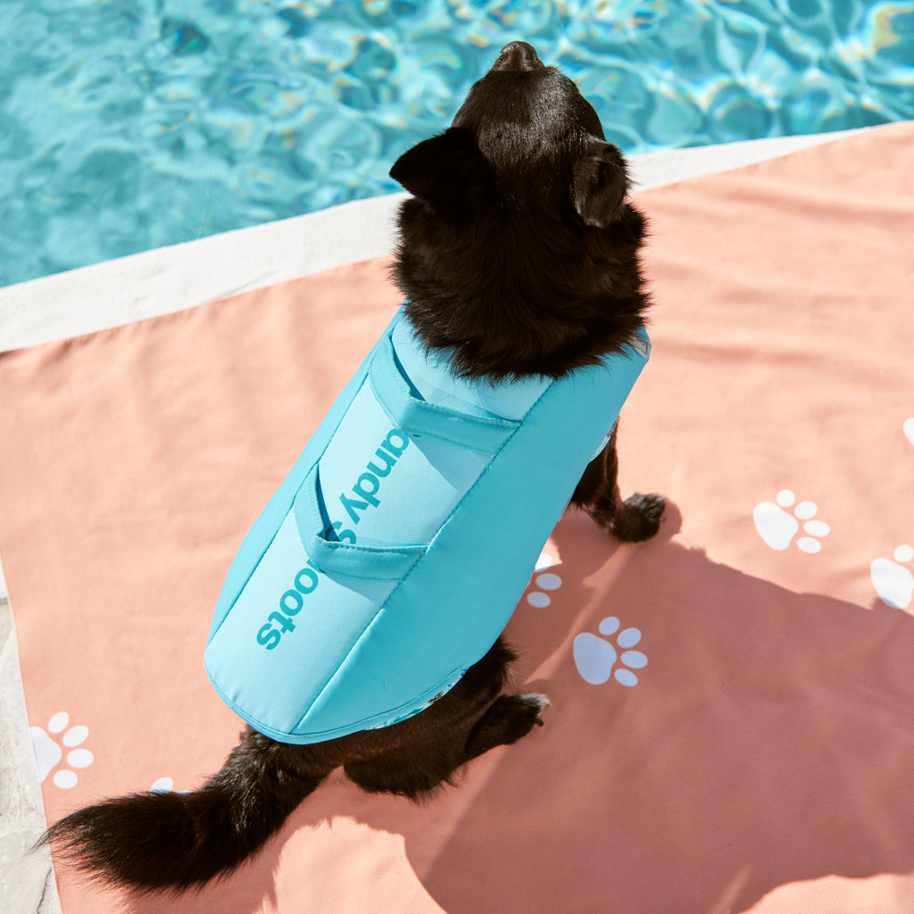 Black dog wearing a green life jacket on a poolside towel