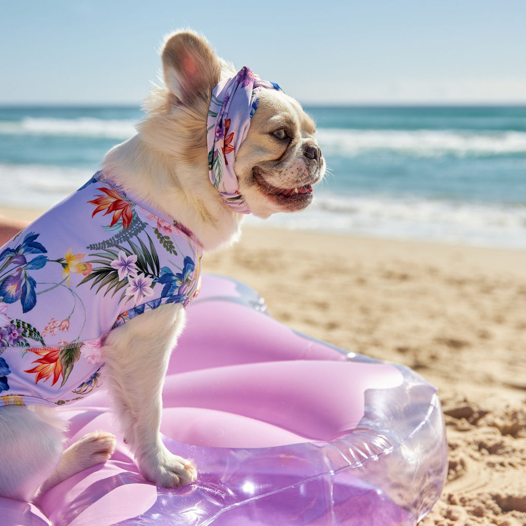 Matching Purple Exotic Floral Womens and Dog Swimwear Australia