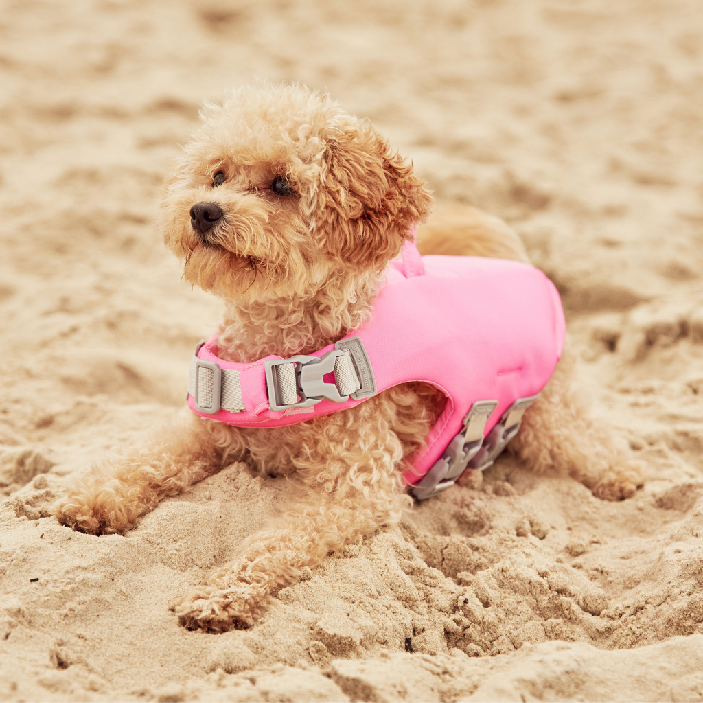 Flamingo Pink Dog Life Jacket Australia