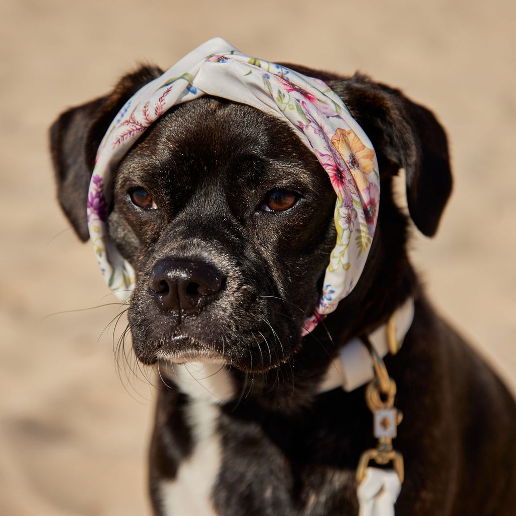 Colourful Floral Silk Dog Headband Australia