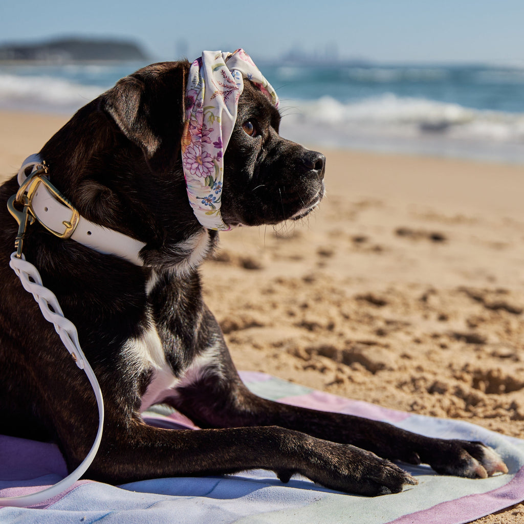 Colourful Floral Silk Dog Headband Australia