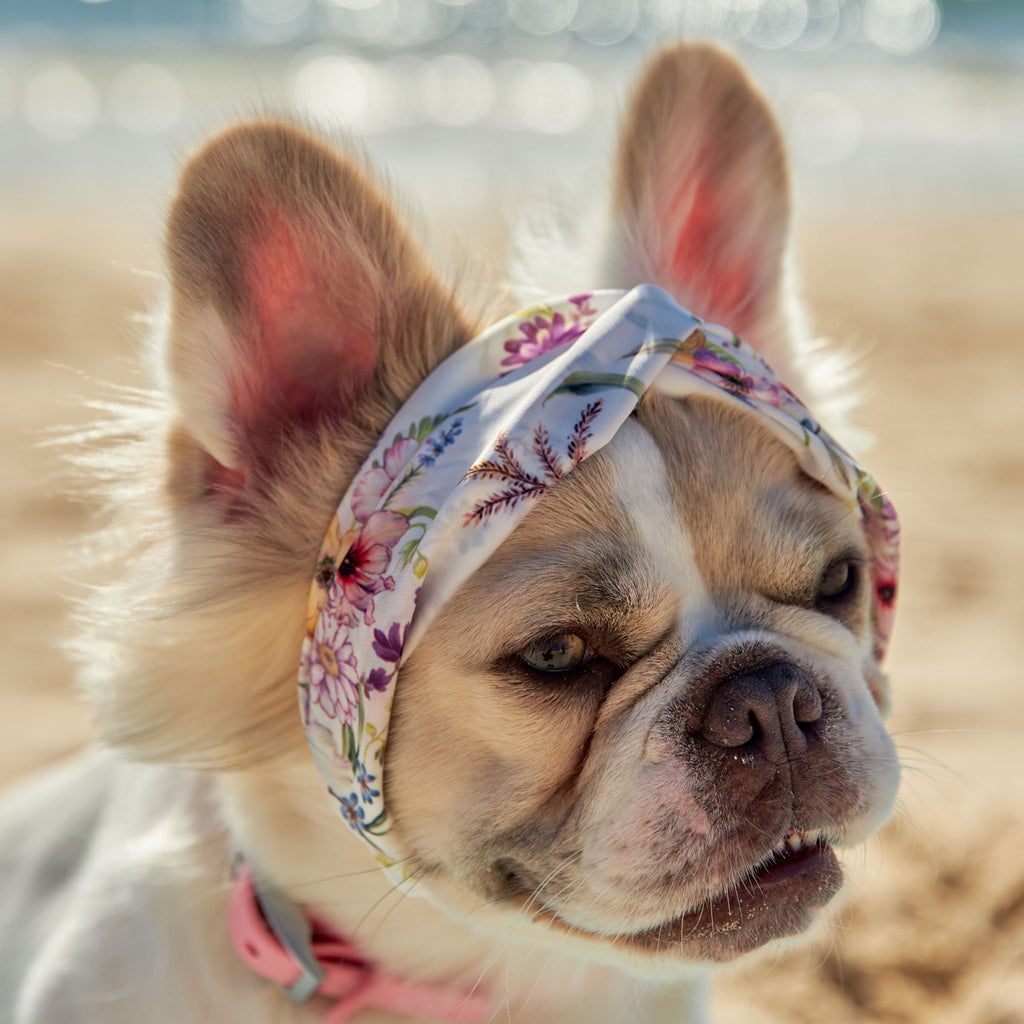 Colourful Floral Silk Dog Headband Australia