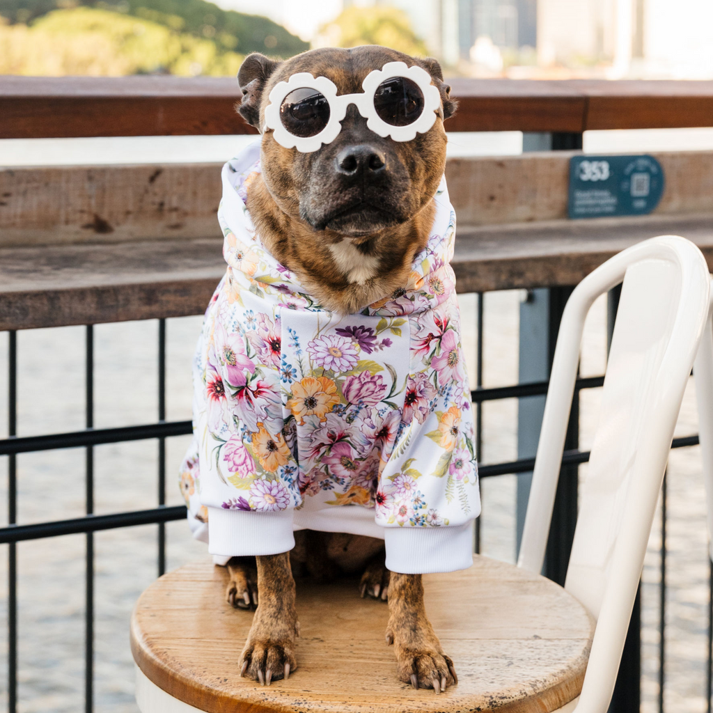 Colourful floral print dog hoodie Australia