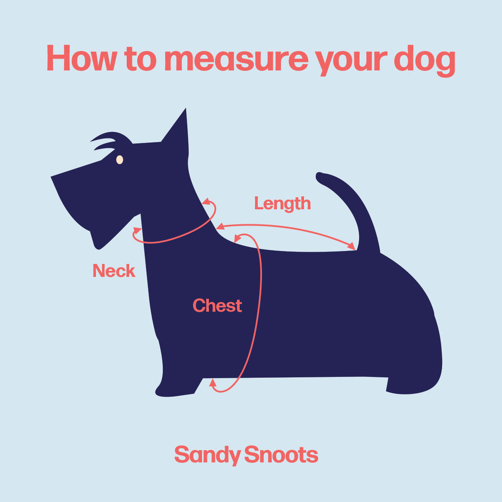How to measure your dog for rashies
