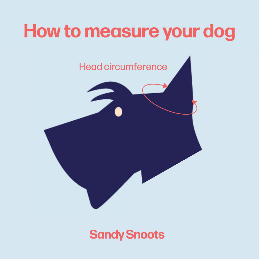 How to measure your dog's head circumference