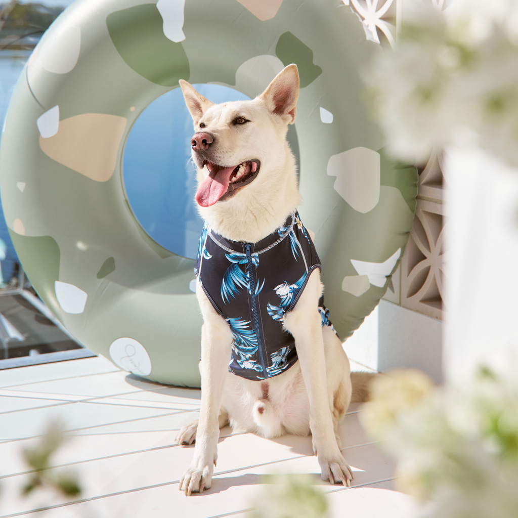 Navy Blue Floral Sun Protective Dog Rashie Australia