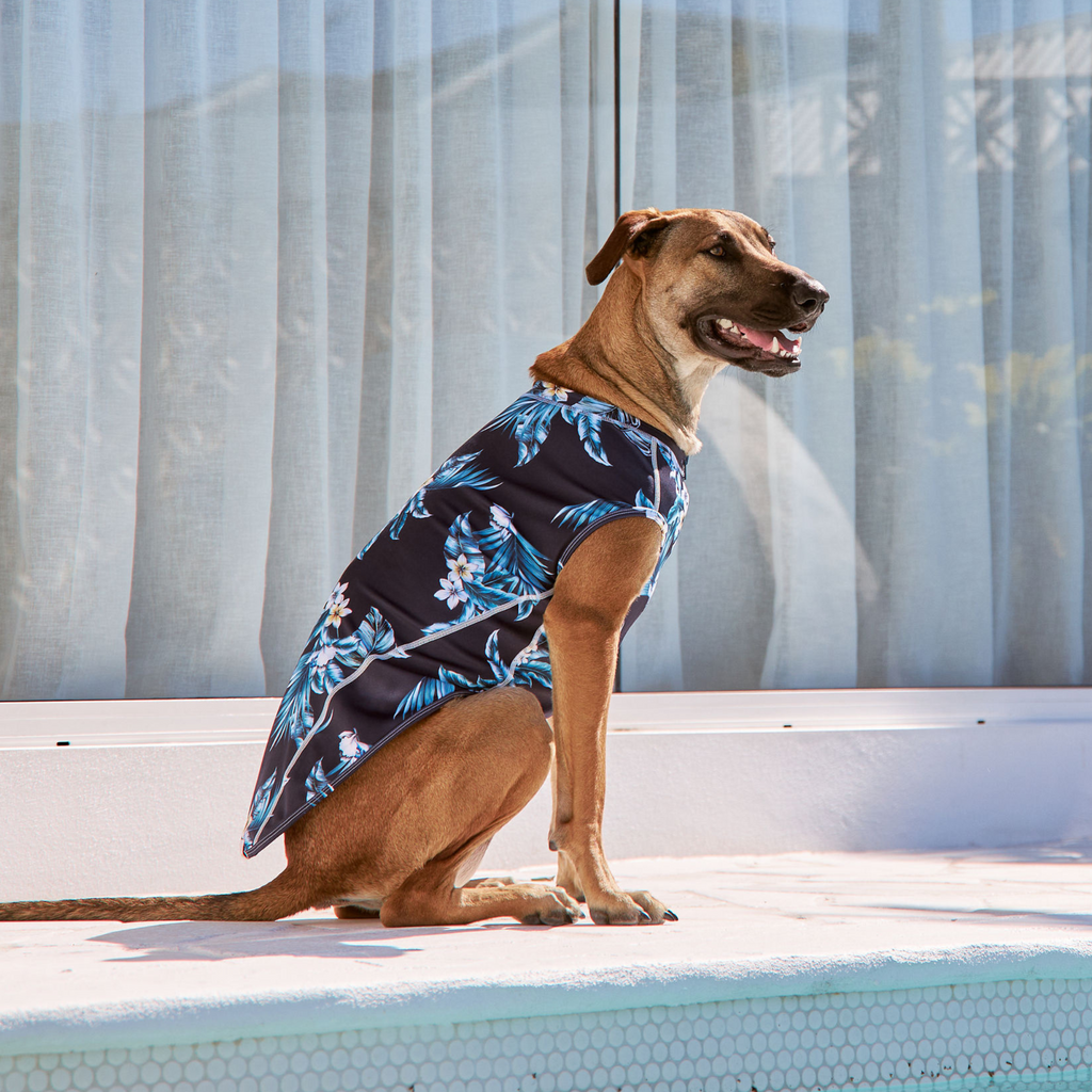 Navy Blue Floral Sun Protective Dog Rashie Australia