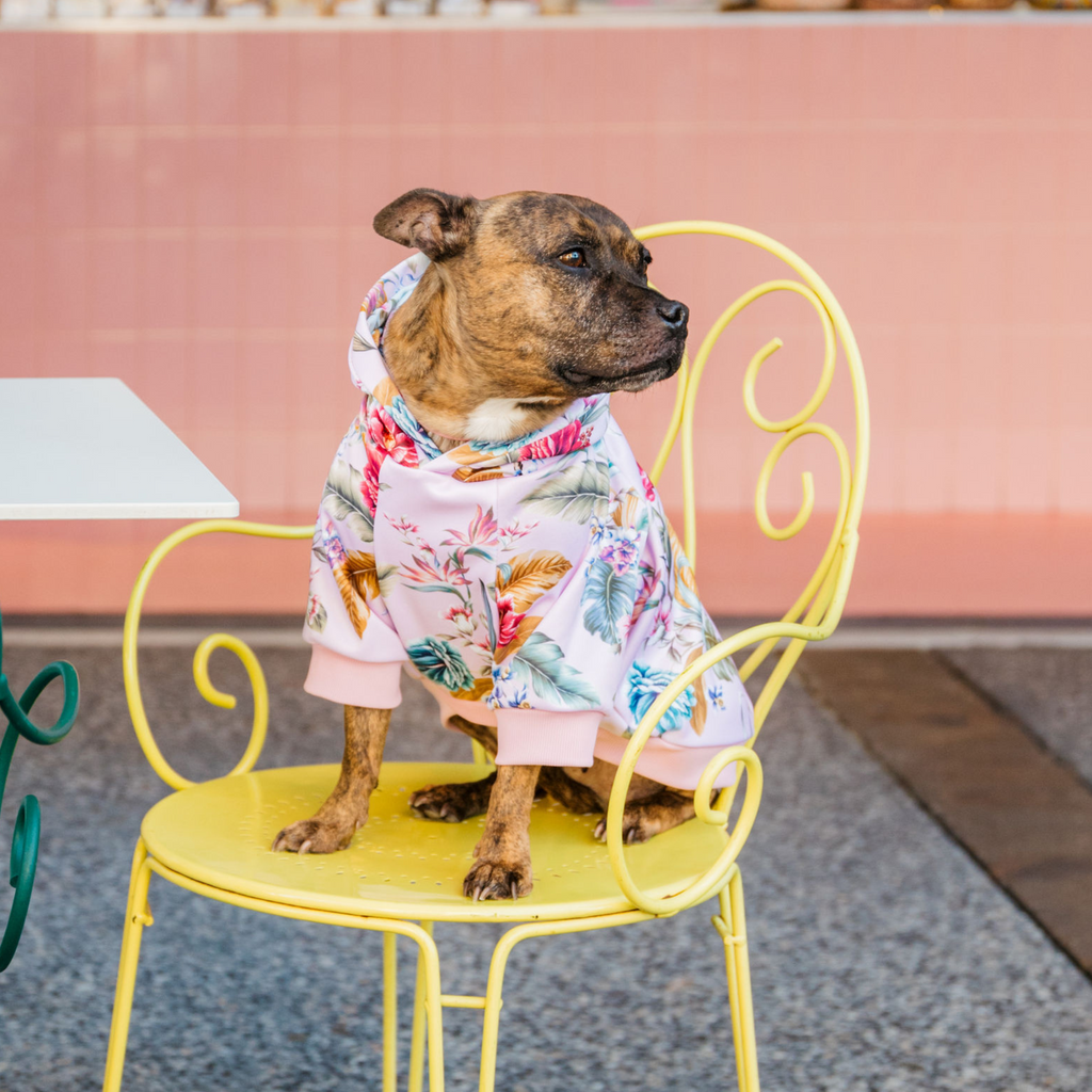 Tropical pink dog hoodie Australia
