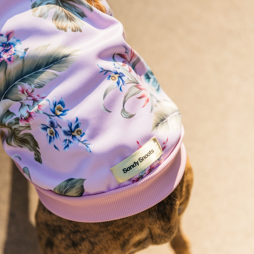 Tropical pink dog hoodie Australia