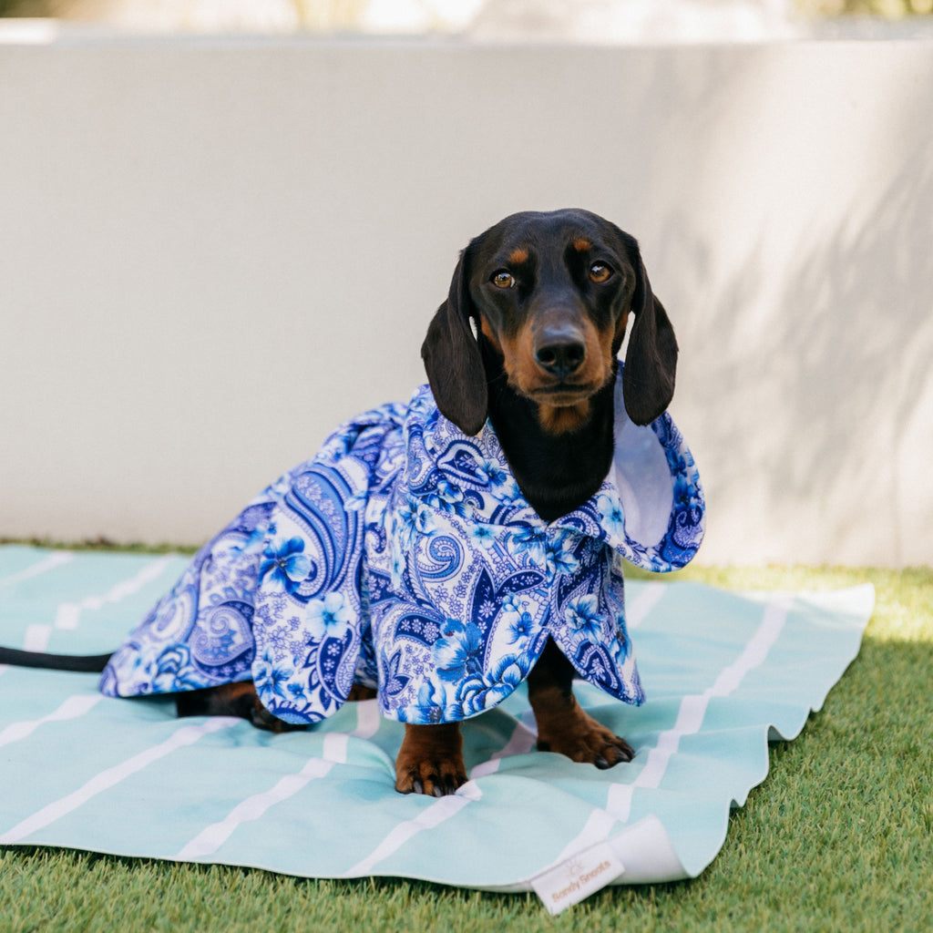 Oceanic Opulence Wearable Dog Poncho Drying Towel Australia
