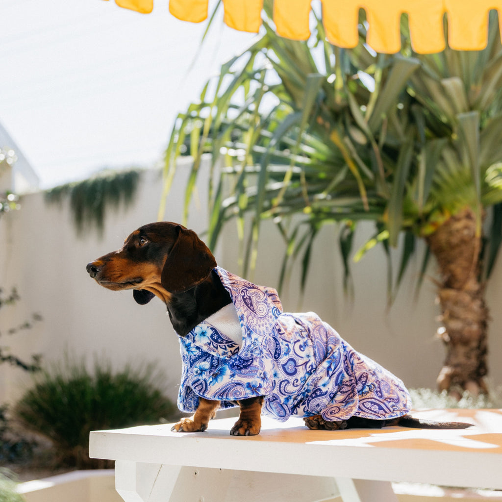 Oceanic Opulence Wearable Dog Poncho Drying Towel Australia