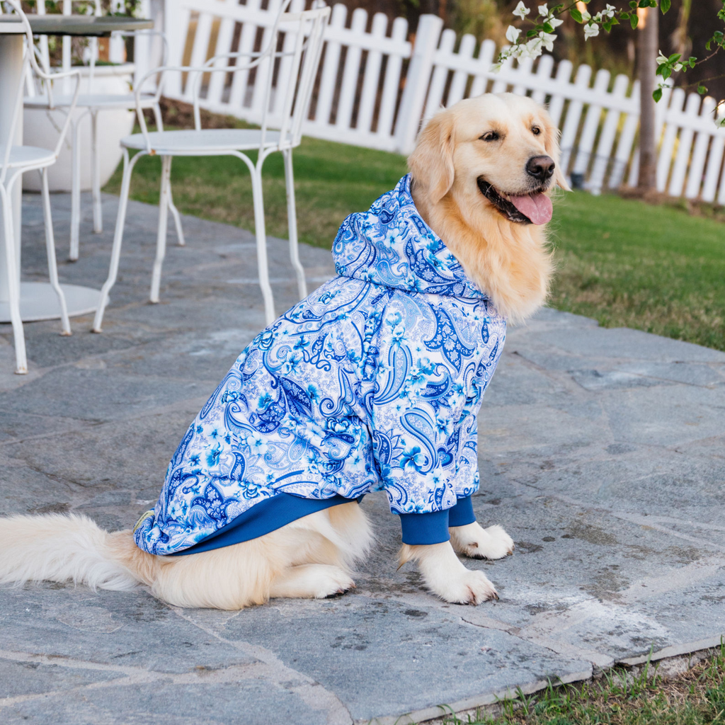 Blue paisley floral dog hoodie Australia