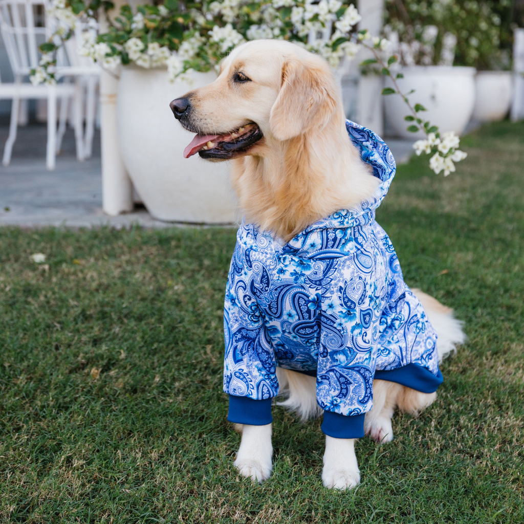 Blue paisley floral dog hoodie Australia