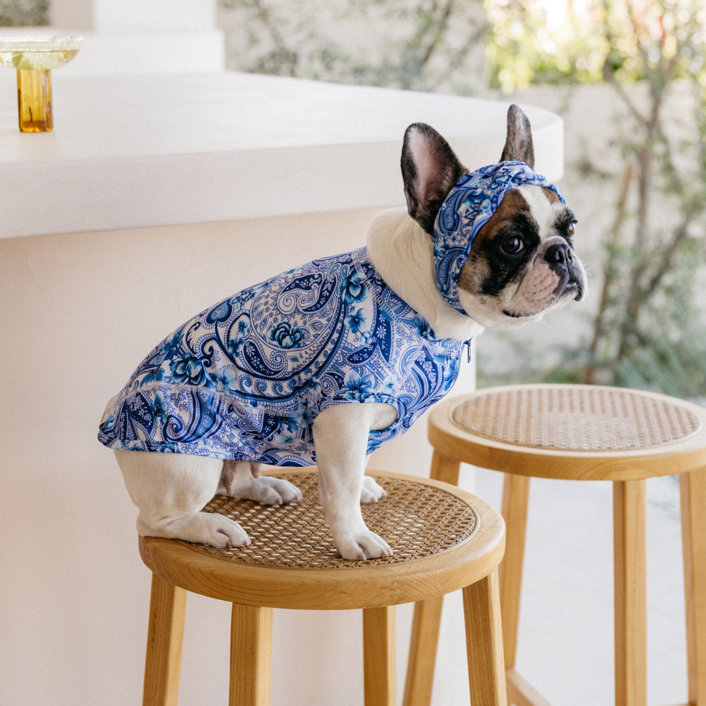 Blue Paisley Sun Protective Dog Rashie Australia