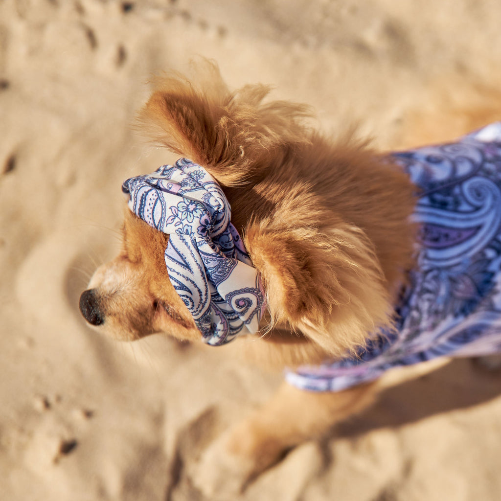 Purple Paisley Silk Dog Headband Australia