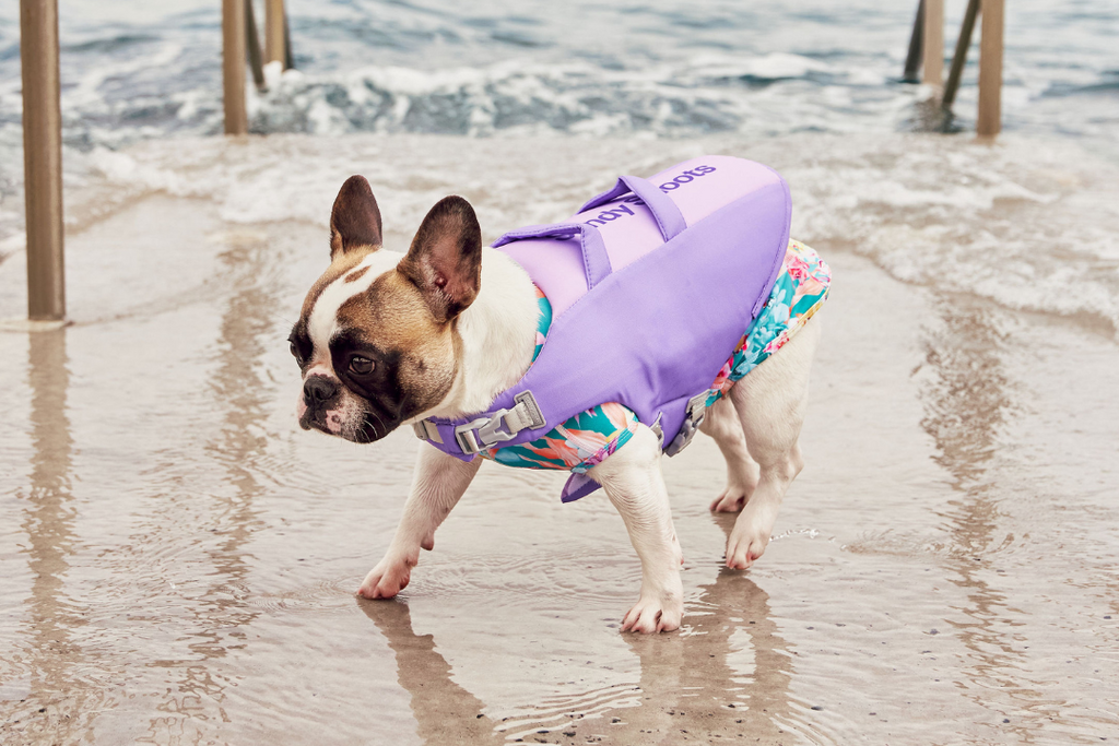 Sandy Snoots Dog Life Jackets Australia