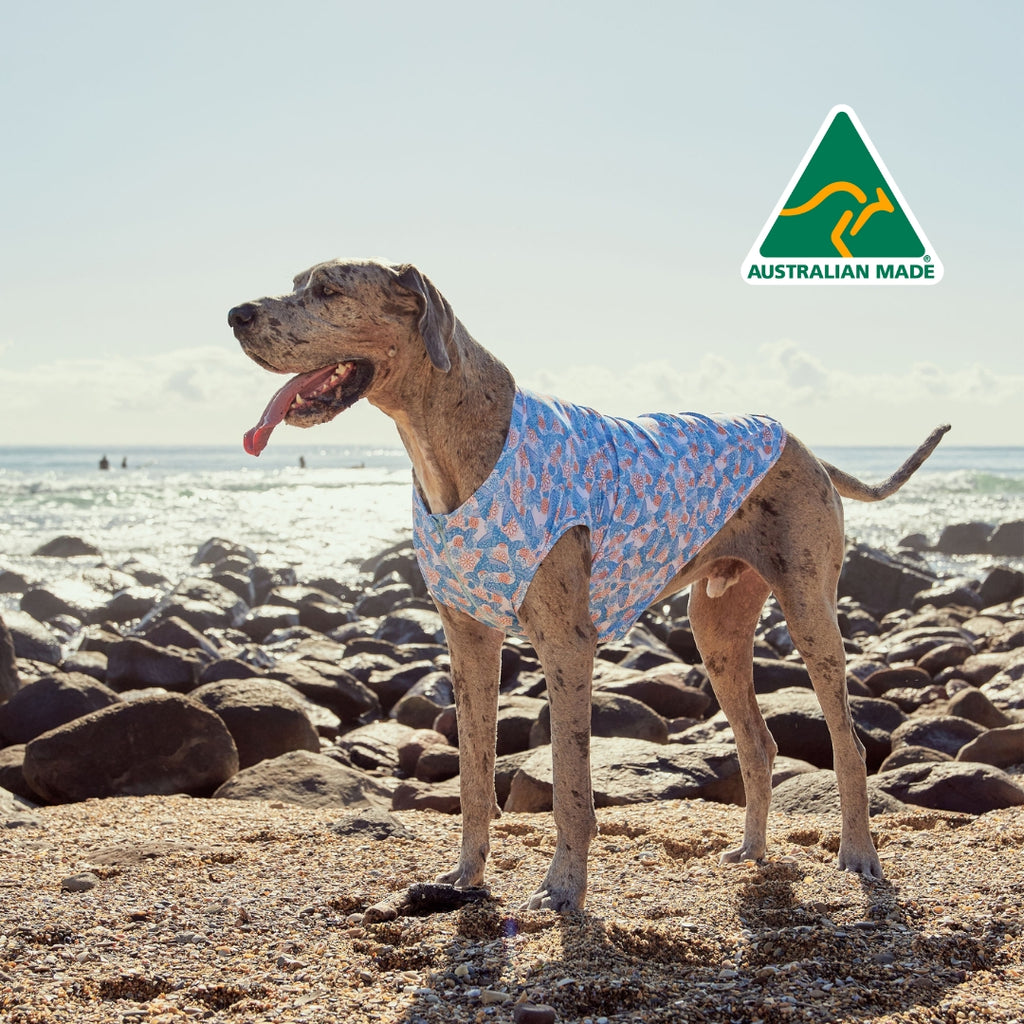 Sandy Snoots Sun Protective Dog Rashies Australia