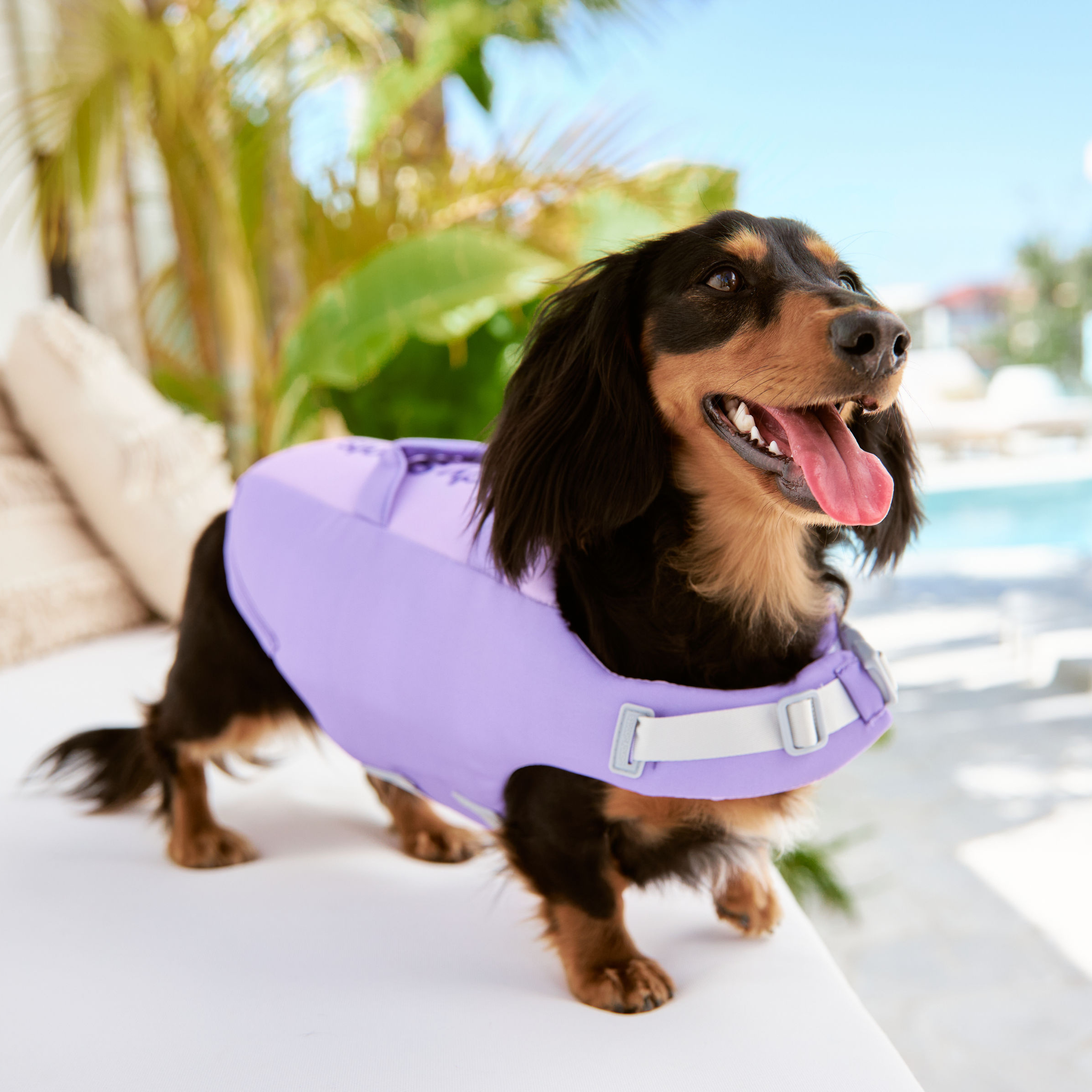 Float Coat Life Vest For Dog Dog Life Jacket By K9 – Feathers And Paws