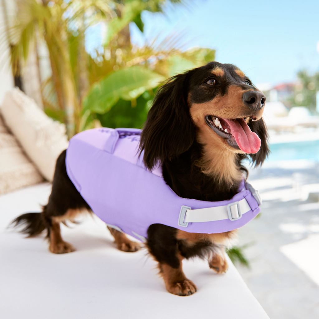 Seashell Purple Dog Life Jacket Australia