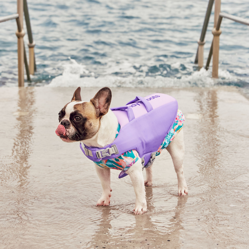 Seashell Purple Dog Life Jacket Australia