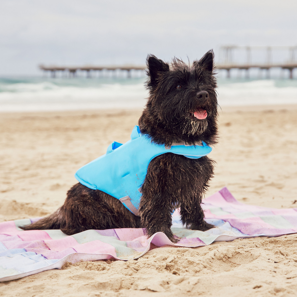 Sky Blue Dog Life Jacket Australia