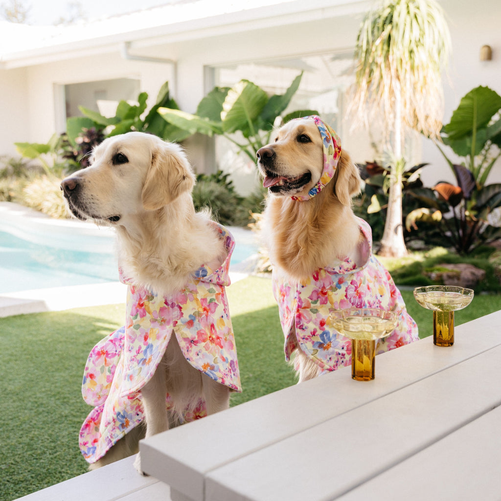 Yellow Floral Wearable Dog Poncho Drying Towel Australia