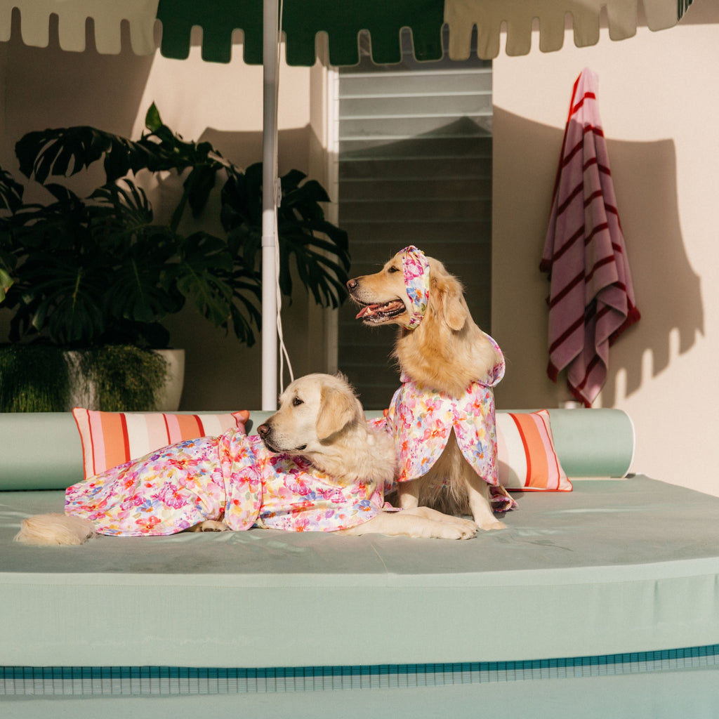 Yellow Floral Wearable Dog Poncho Drying Towel Australia