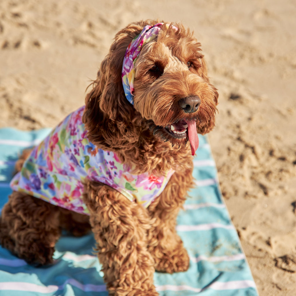 Yellow Floral Silk Dog Headband Australia