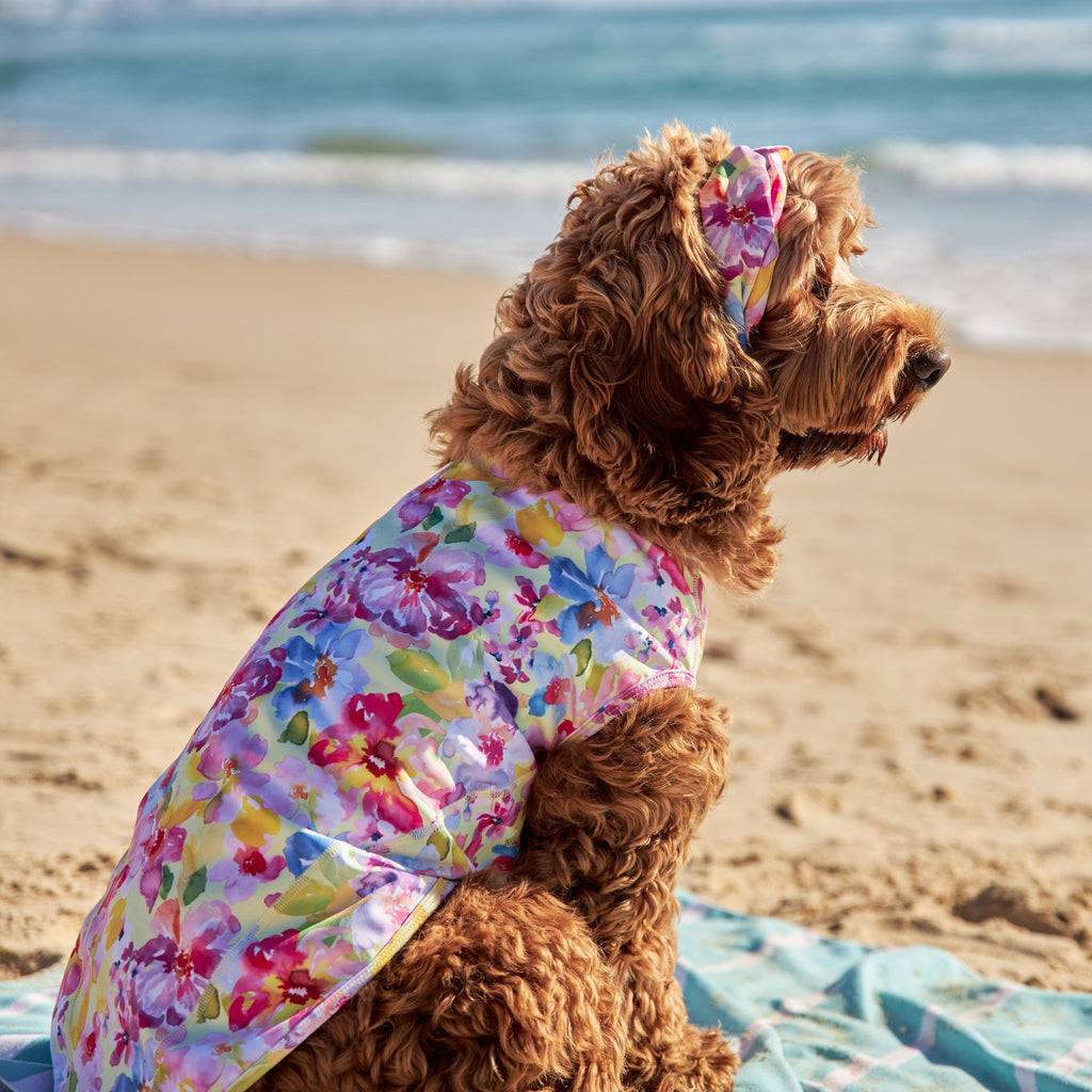 Yellow Floral Sun Protective Dog Rashie Australia