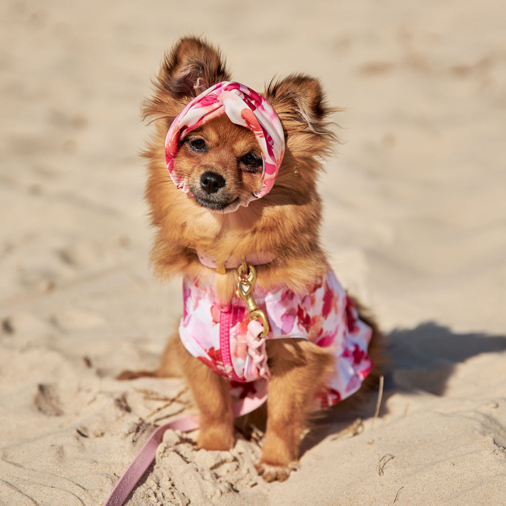 Pink and Orange Floral Silk Dog Headband Australia