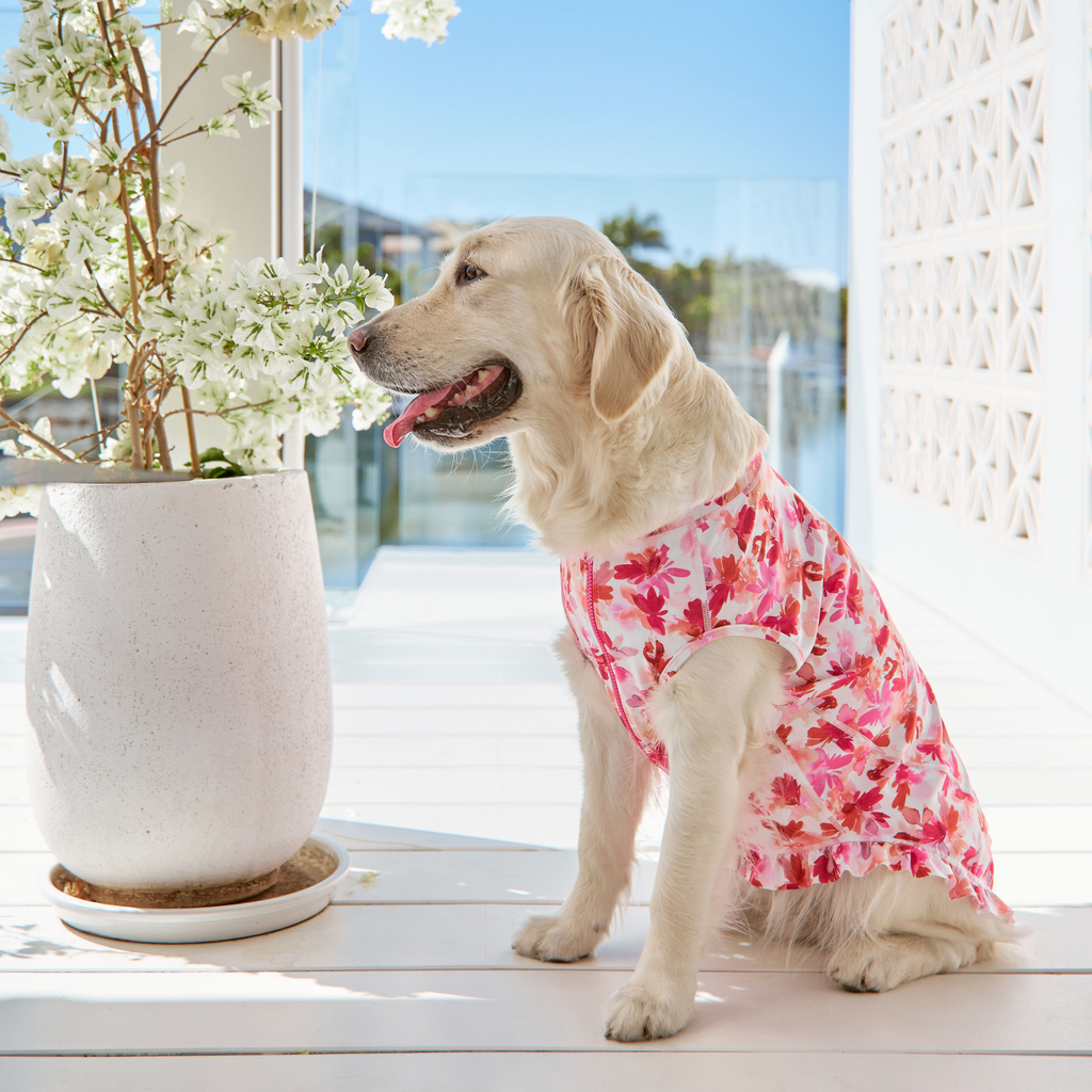 Pink and Orange Floral Sun Protective Dog Rashie with Ruffle Frill Australia