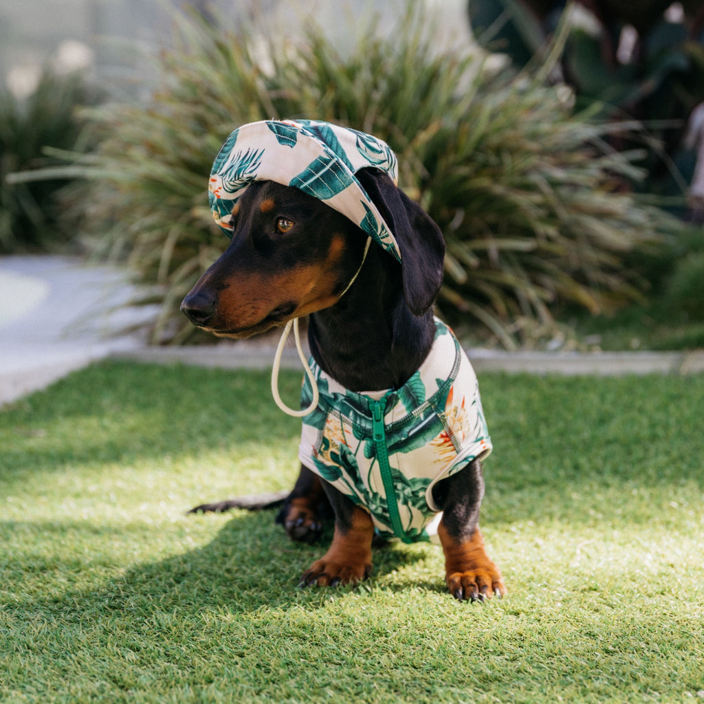Tropical Green Leaves Sun Protective Wide Brim Dog Bucket Hat Australia