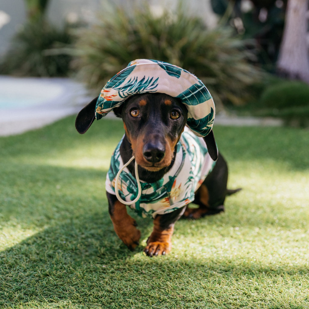 Tropical Green Leaves Sun Protective Wide Brim Dog Bucket Hat Australia