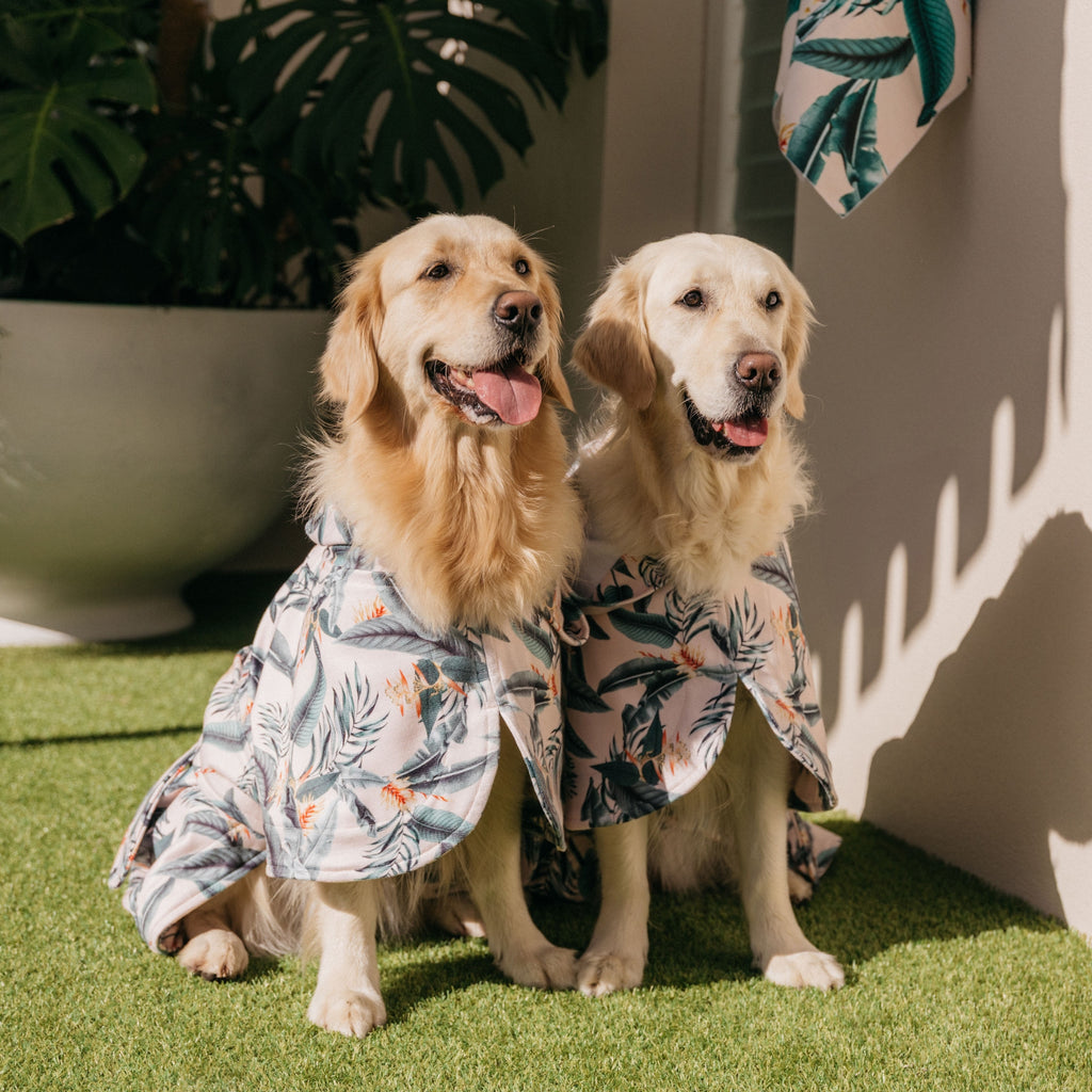 Tropical Green Leaves Wearable Dog Poncho Drying Towel Australia