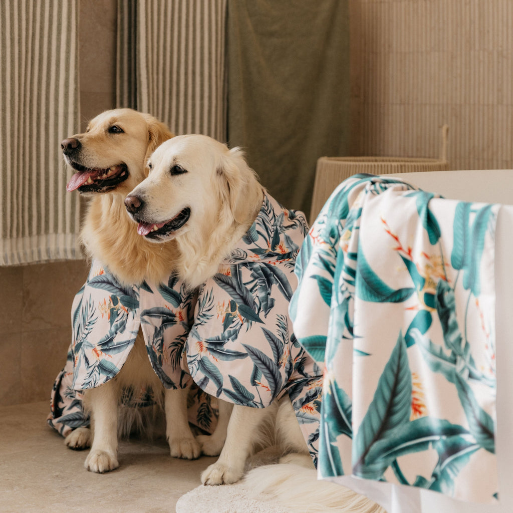 Tropical Green Leaves Wearable Dog Poncho Drying Towel Australia