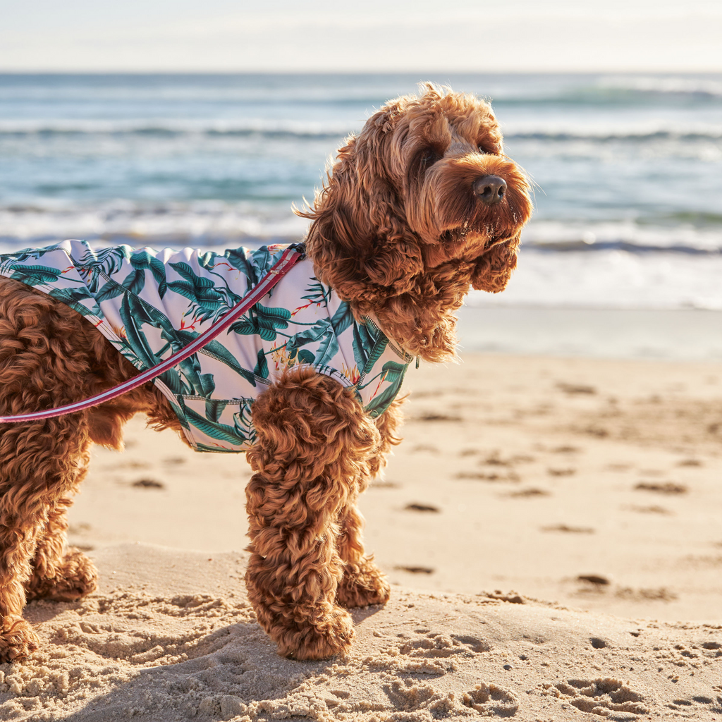 Tropical Green Leaves Sun Protective Dog Rashie Australia