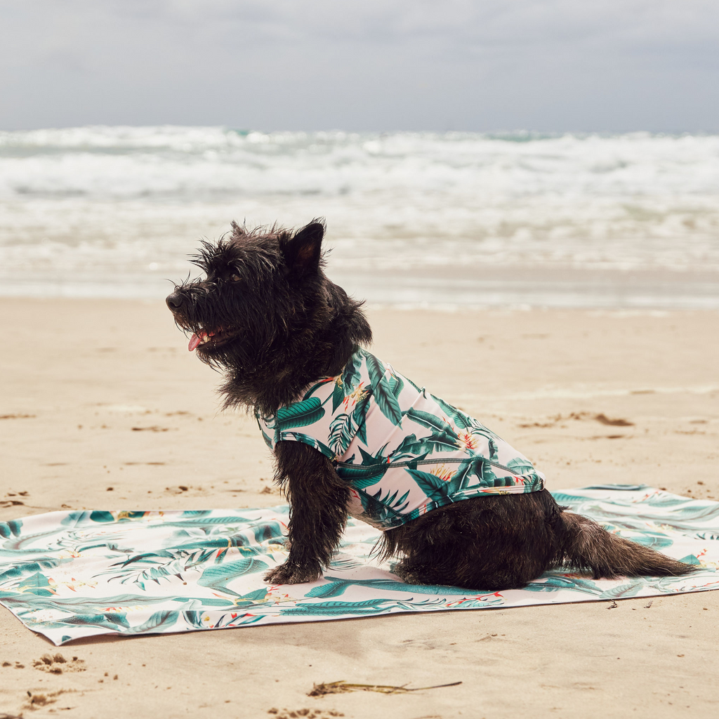 Tropical Green Leaves Sun Protective Dog Rashie Australia