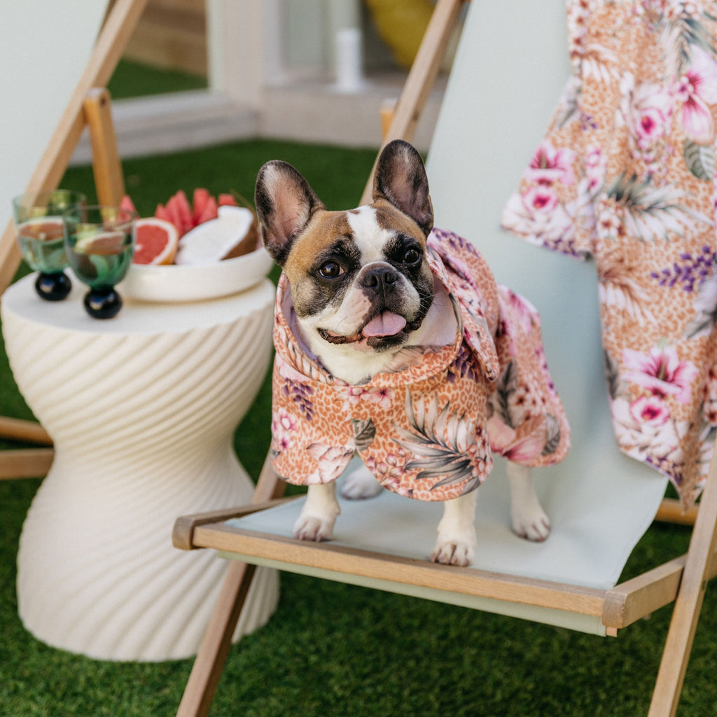 Floral Animal Print Wearable Dog Poncho Drying Towel Australia
