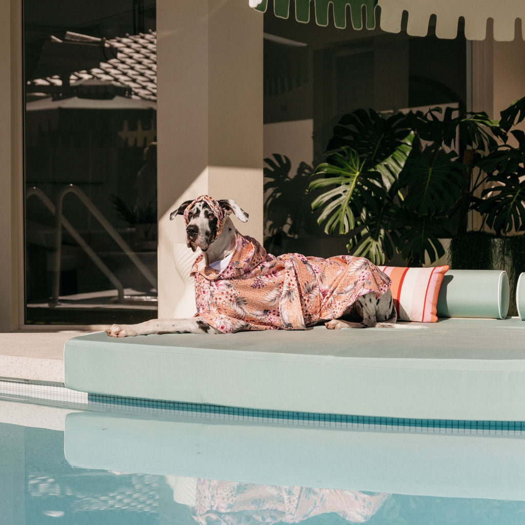 Floral Animal Print Wearable Dog Poncho Drying Towel Australia