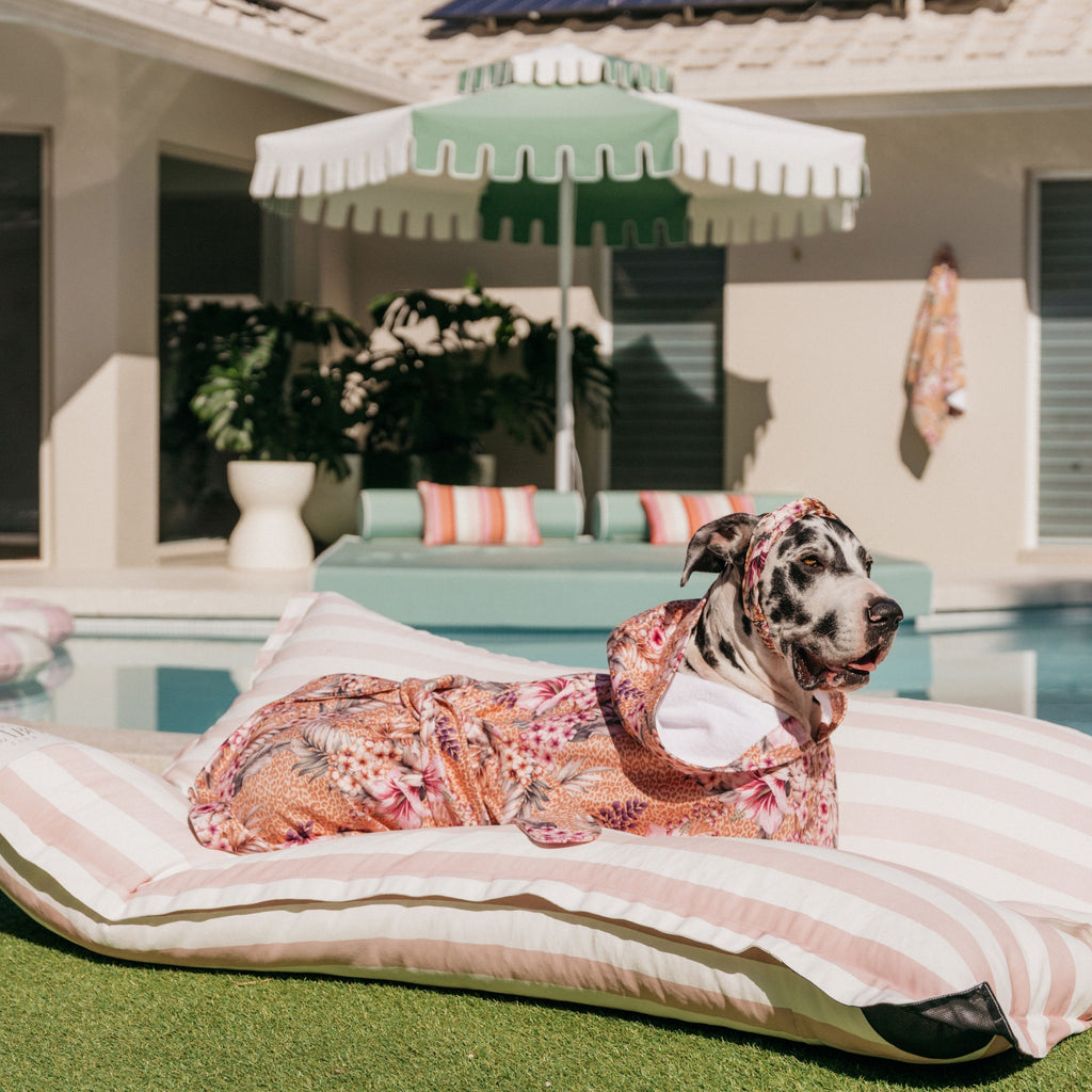 Floral Animal Print Wearable Dog Poncho Drying Towel Australia