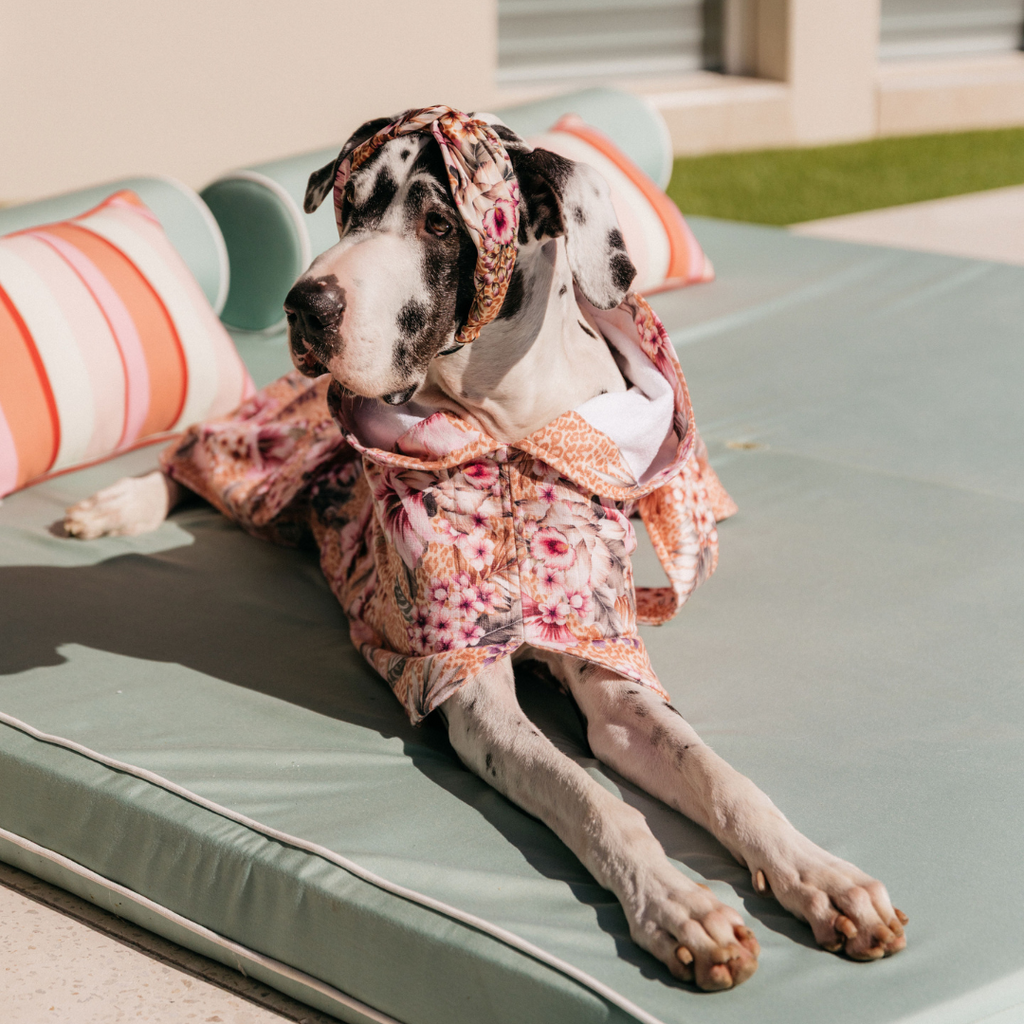 Floral Animal Print Wearable Dog Poncho Drying Towel Australia