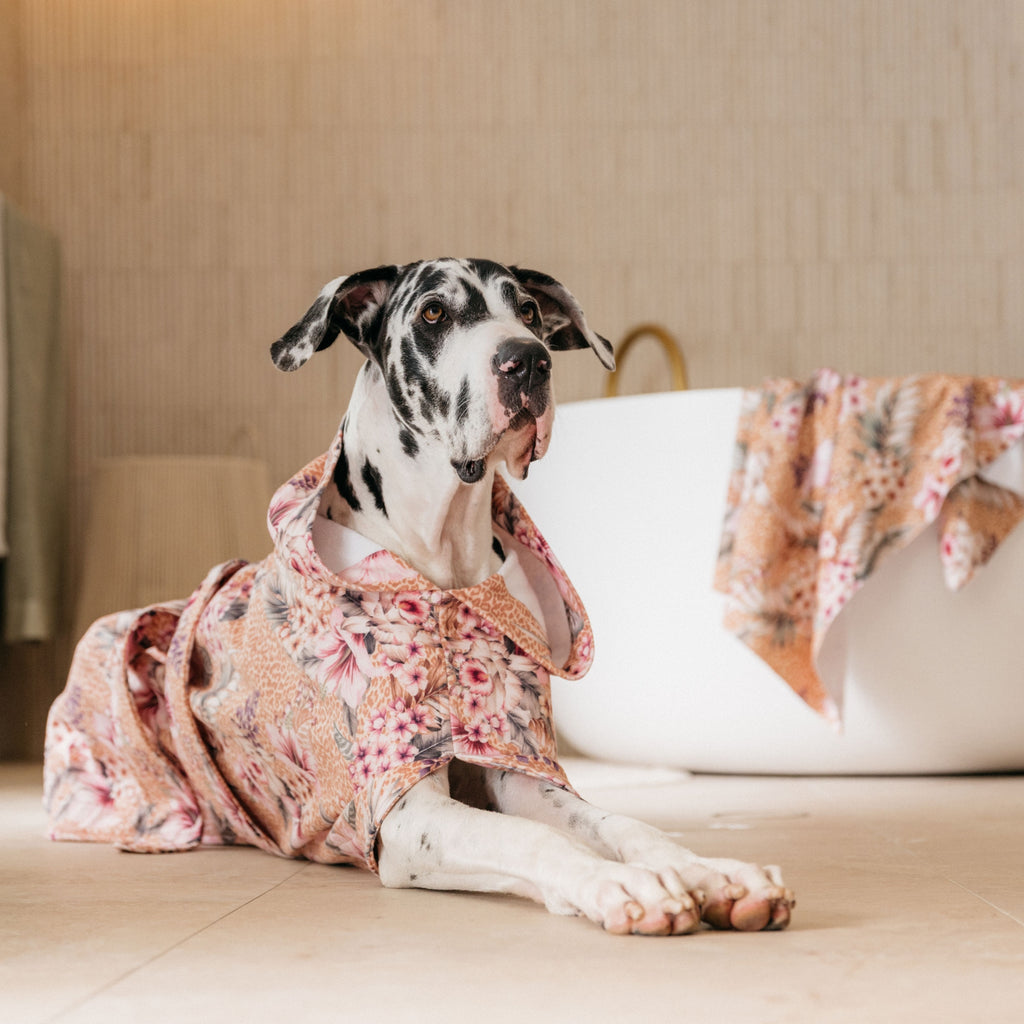 Floral Animal Print Wearable Dog Poncho Drying Towel Australia